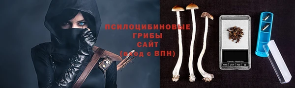 гидропоника Балабаново