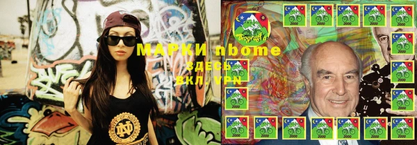 СК Дмитровск