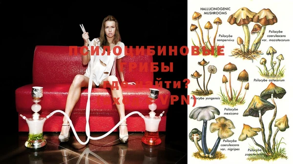 гидропоника Балабаново