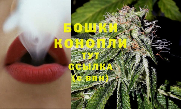 гидропоника Балабаново
