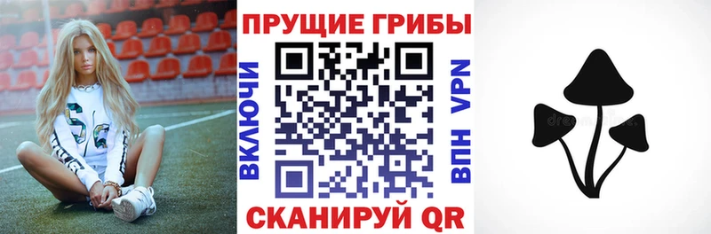 Псилоцибиновые грибы Magic Shrooms  Болгар 