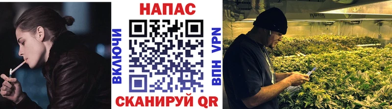 сколько стоит Болгар МАРИХУАНА сатива